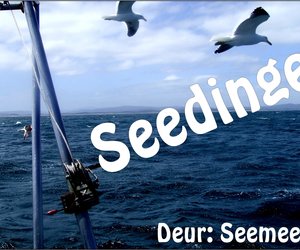 Respek vir die ankerman