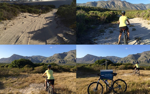 New MTB Trails New MTB Trails