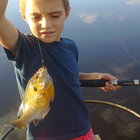 Blue Gill exitement Blue Gill exitement