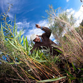 Invasive Alien Clearing