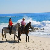 Horse riding on the beach