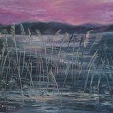 Gansbaai - Petro Shingalana - Reeds in water - W:760×H505
