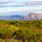 Felicita Farm in Stanford, Overberg