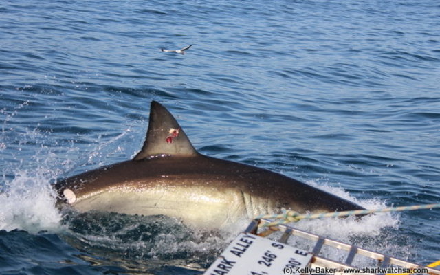 "X" visiting us back in 2014