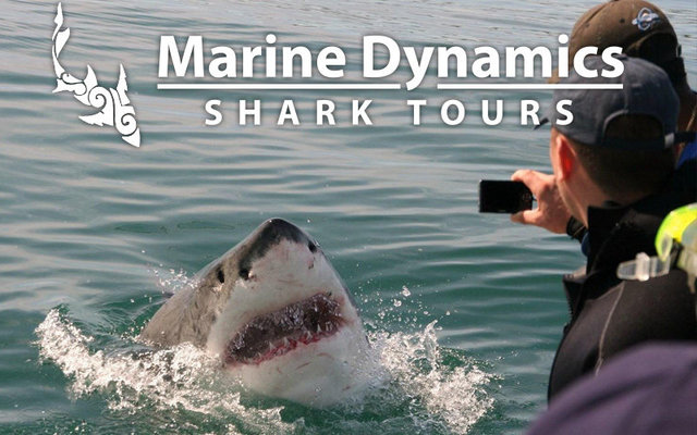 Marine Dynamics Marine Dynamics