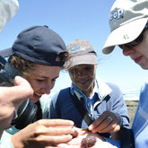 De Hoop Marine Protected Area Celebrates 30 years this year