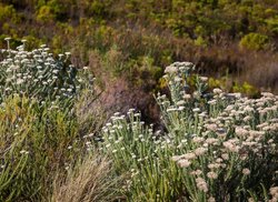 5. Hiking in the Biosphere