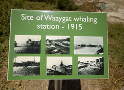 3. Old Whaling Station