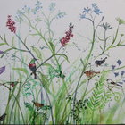 Acrylics on canvas @ Vintage & Vogue Acrylics on canvas @ Vintage & Vogue