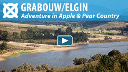 WATCH THE VIDEO: Welcome to Grabouw & Elgin!