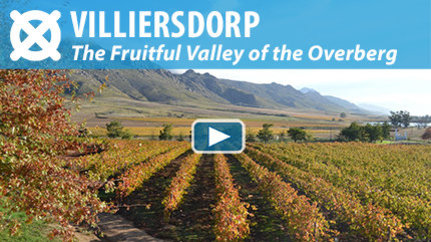 WATCH THE VIDEO: Welcome to Villiersdorp!