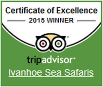 Ivanhoe awarded the Trip Advisor Certificate of Excellence - 2015