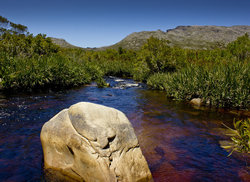 1. Kogelberg Nature Reserve