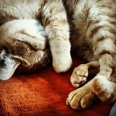 Hope everybody is keeping warm today!!