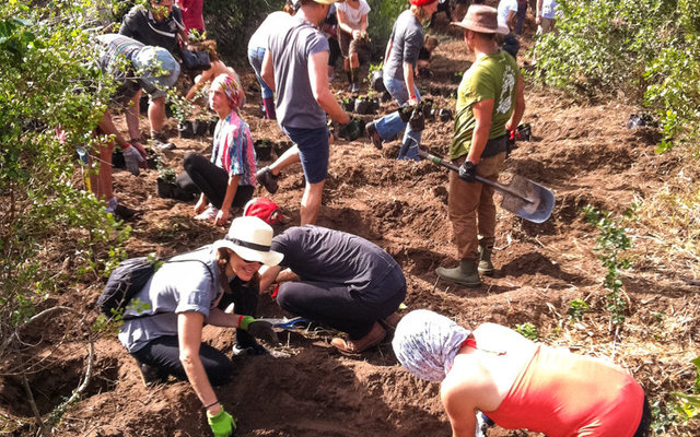 platbos-reforest-fest-2015-2207