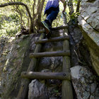 Walks through Nature