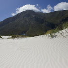 Go explore the dunes