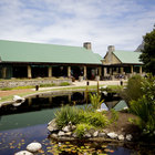 Dinning outside Dinning outside