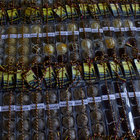 GaBoli Chocolates GaBoli Chocolates