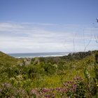 Fynbos & amazing views