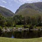 Ponds & Mountain views