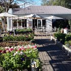 Fiore Coffee Shop and Tea Garden Fiore Coffee Shop and Tea Garden