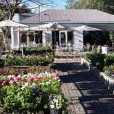 Fiore Coffee Shop and Tea Garden