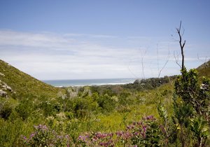 The Top 5 Outdoor Adventures in Betty's Bay