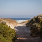 Pringle Bay Beach Path Pringle Bay Beach Path