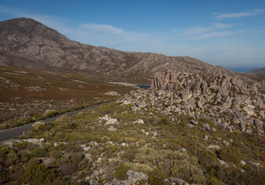 Pringle Bay's role in World War Two