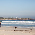 Walking on the Beach Walking on the Beach