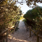 Follow the path.. Follow the path..