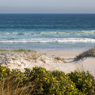 Pringle Bay Beach Views