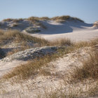 Golden dunes of fun