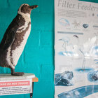 Visit the Eco-Centre Visit the Eco-Centre