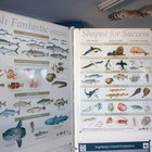 Visit the Rooi Els Eco-Centre