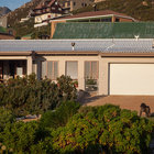 An unexpected guest An unexpected guest