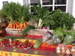 Wining and Dining in Wintry Stanford