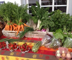 Wining and Dining in Wintry Stanford