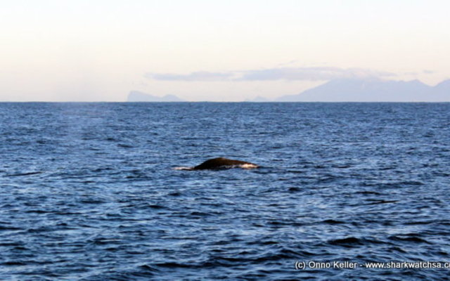 20150701_SF_Trip1_OKeller_IMG_00009