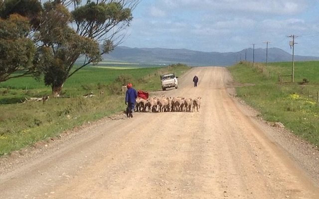 The Best kind of roadblock The Best kind of roadblock