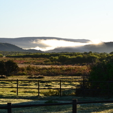 Mountain View - Duinefontein Game Farm - Gansbaai
