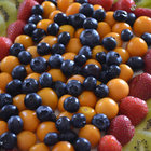 Fresh Ingredients Fresh Ingredients