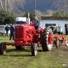 Meet the Locals Meet the Locals