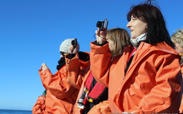 Dyer Island Cruises Clients Dyer Island Cruises Clients