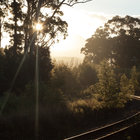 Railway Sunset
