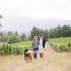 Walks in the Vineyards Walks in the Vineyards