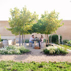 Lunch at Almenkerk Lunch at Almenkerk