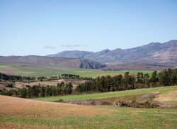 7. Get Your Heart Racing in Paradise