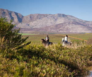 Top 5 Outdoor Adventures in Botrivier